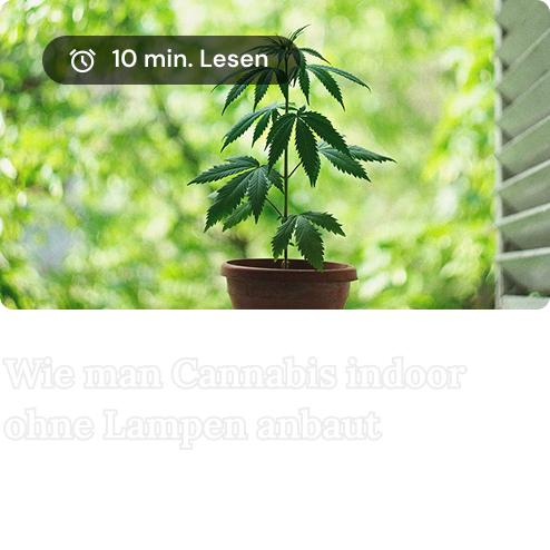 indoor without lights de-1